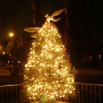 Holiday Tree Lighting - in Rose Park