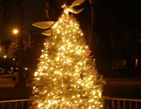 Tree Lighting – will be held on Tuesday December 20th 7pm